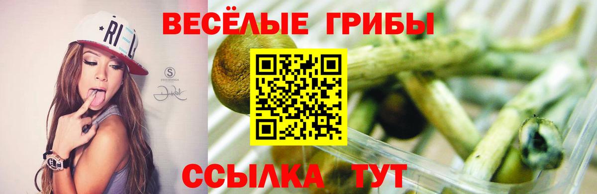 Галлюциногенные грибы Psilocybe  Псилоцибиновые грибы Psilocybe  Вход с VPN  как найти наркотики  Егорьевск 